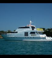 2011 CUSTOM MICHAEL RICKARD BELL DESIGN FOR SALE