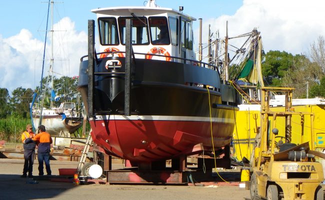 Burnu 036